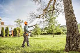 Best Lot and Land Clearing  in Warren Park, IN