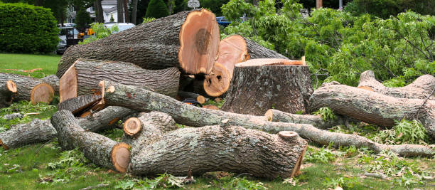 Mulching Services in Warren Park, IN